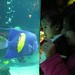 Justin Fish Photo 30
