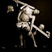 Joshua Howarth Photo 17