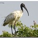 Santosh Gupta Photo 26