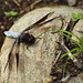 Lydia Greenway Photo 10