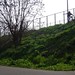Ryan Alexander Photo 11