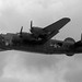 Robert Collings Photo 34