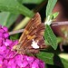 Joanne Bush Photo 19