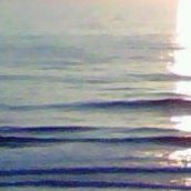 Annette Griffin Photo 39
