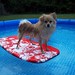 Cindy Patton Photo 29