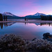 Mark Sparks Photo 35