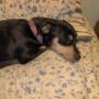Kimberly Rowley Photo 23