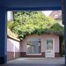 Constance Urban Photo 3