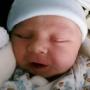 Elizabeth Douglas Photo 29