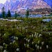 Monica Meadows Photo 7