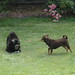Linda Sealy Photo 24
