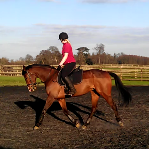 Alice Langston Photo 14