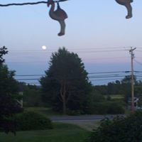 Linda Beeler Photo 26