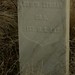 Edward Proctor Photo 14