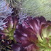 Laura Mcneely Photo 34