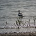 Lawrence Monroe Photo 14