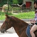 Lisa Tanner Photo 25