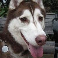 Jack Chu Photo 32