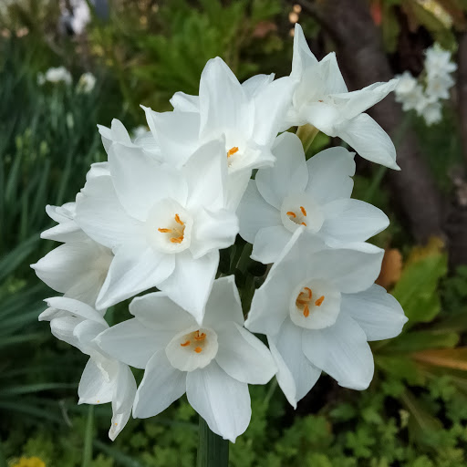 Carol Donley Photo 4
