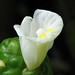 Colleen White Photo 14