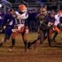 Gary Willis Photo 41
