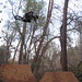 Marcus Inman Photo 3