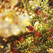 Susan Berry Photo 20