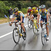 Frank Armstrong Photo 12