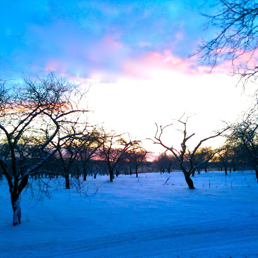 Lisa Applegate Photo 29