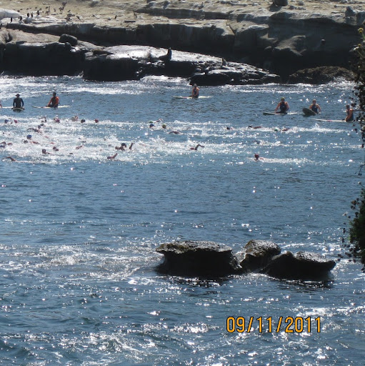 Cathy Neumann Photo 23