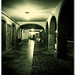 Sergio Aviles Photo 15