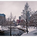 Colleen Laughlin Photo 18
