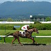 Jayson Rodriguez Photo 26