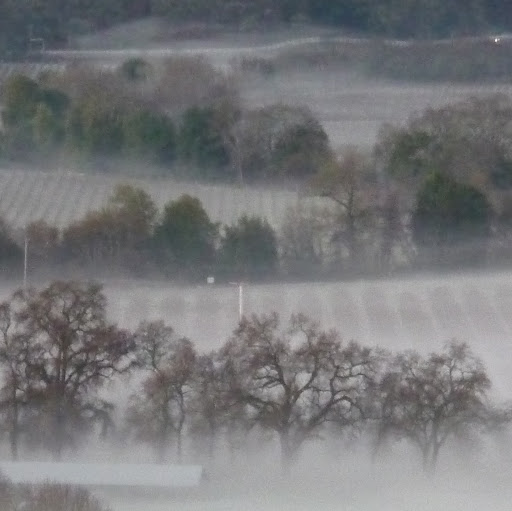 Jerry Treadway Photo 2