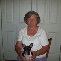 Shirley Knowles Photo 14