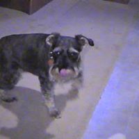 Nancy Woodall Photo 6