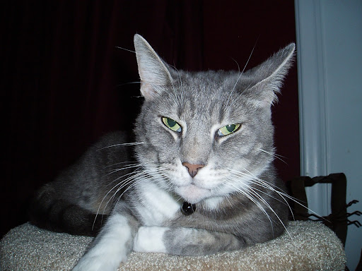 Paul O'Malley Photo 14