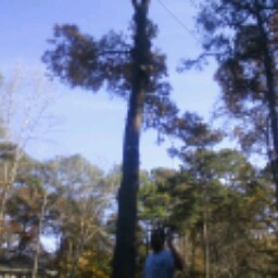 David Cagle Photo 15