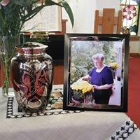 Steve Tabor Photo 6