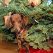 Jill Wieners Photo 8