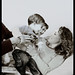 Jennifer Gibb Photo 19