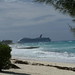 Judy Turk Photo 24