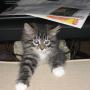 Amy Scanlon Photo 23