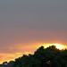 Dawn Carson Photo 17