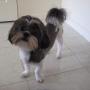 Anh Ha Photo 22