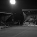 Ross Mcdiarmid Photo 8
