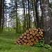 Eugene Wood Photo 43