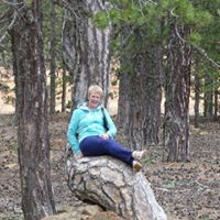Caryl Collins Photo 9