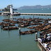 Warren Simmons Photo 18