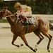 Andy Leung Photo 33